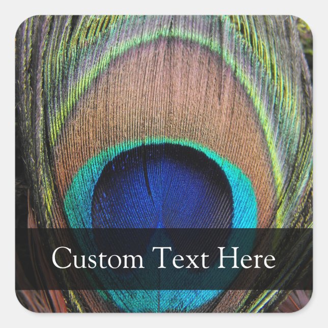 Personalized Peacock Feather Square Sticker (Front)