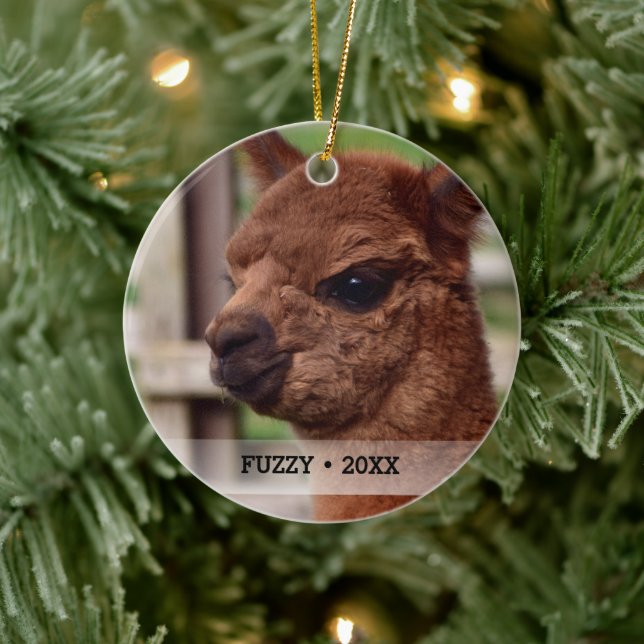 Personalized Pet Alpaca Photo Name Christmas Tree Ceramic Ornament (Tree)