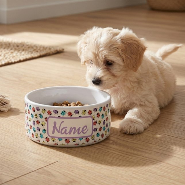 Personalized Pet Bowl with Colourful Ladybugs (Creator Uploaded)