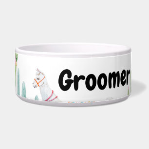 Personalized Pet Bowls Boho Llama Bohemian Cacti D
