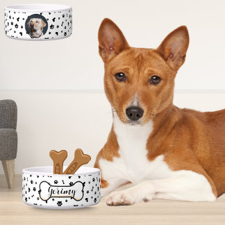 Personalized Pet Bowls: Name, Patterns & Photos