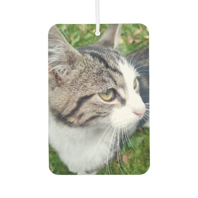 Personalized pet cat photo car air freshener scent (Front)