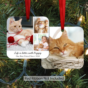 Personalized Pet Cat Photo Collage Metal Ornament