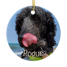 Personalized Pet Christmas Ornament