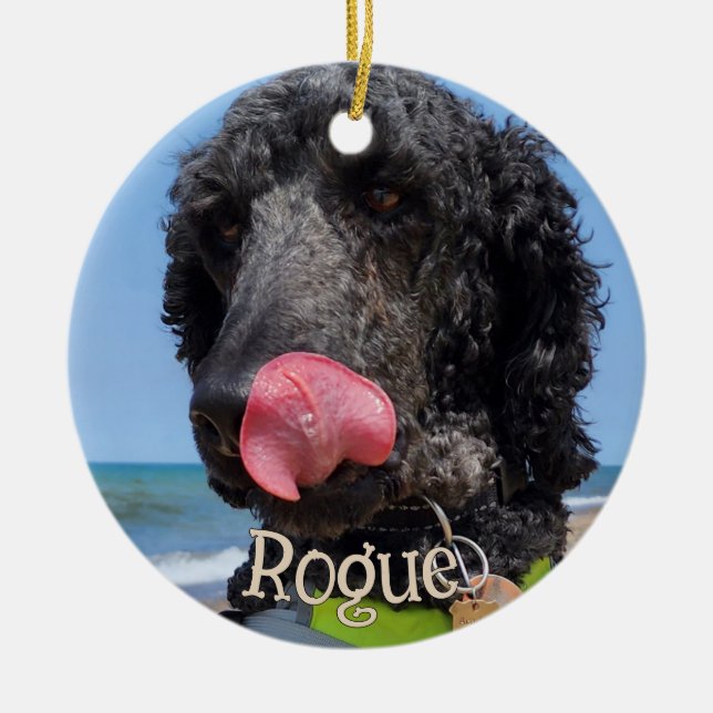 Personalized Pet Christmas Ornament (Front)