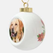 Personalized Pet  Dog Photo