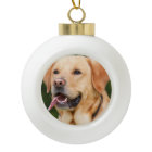 Personalized Pet  Dog Photo