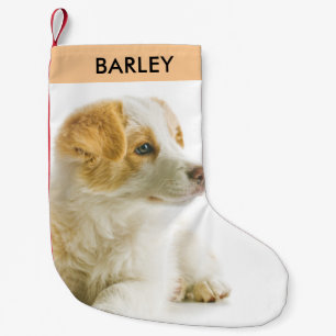 Personalized Pet Dog Photo Festive Holiday Cute  Small Christmas Stocking