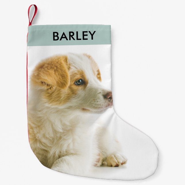 Personalized Pet Dog Photo Festive Holiday Cute  Small Christmas Stocking (Front)