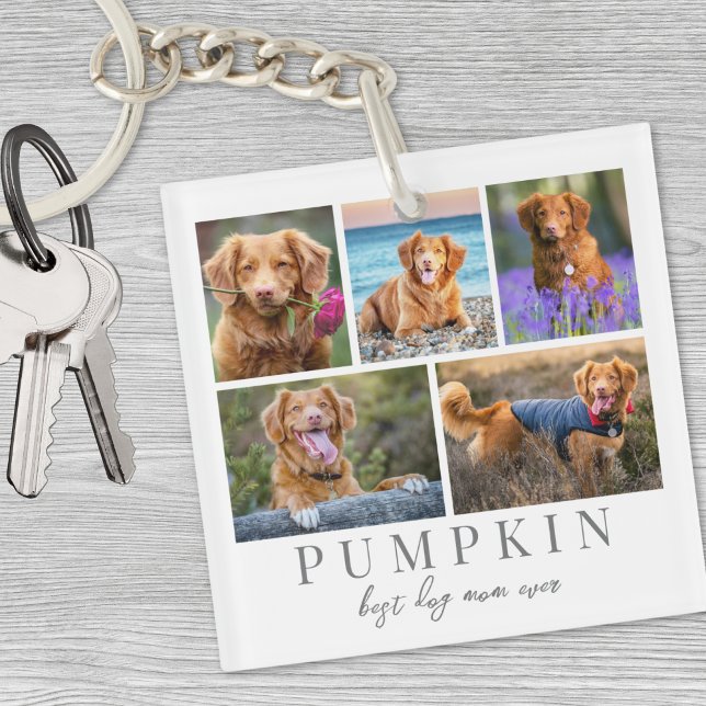 Personalized Pet Dog Photo Keepsake Keychain (Personalized Pet Dog Photo Keepsake Keychain)