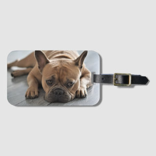 Personalized Pet Dog Photo Luggage Tag