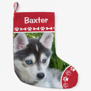 Personalized Pet Dog Photo Monogram Name Small Christmas Stocking