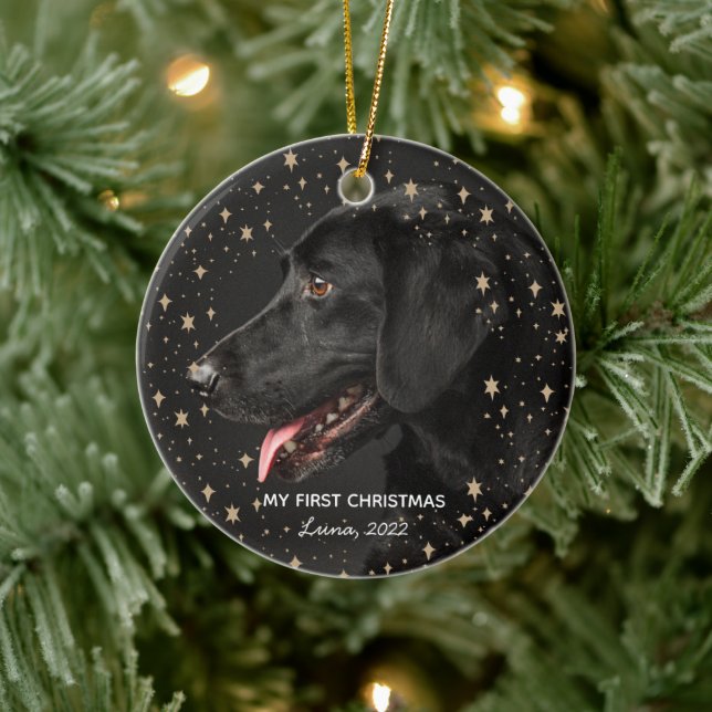 Personalized Pet Dog Puppy Holiday Photo Ornament (Tree)