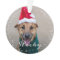 Personalized Pet Dog Puppy Holiday Photo