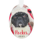 Personalized Pet Dog Puppy Holiday Photo