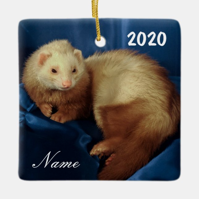 Personalized Pet Ferret Ceramic Ornament (Front)