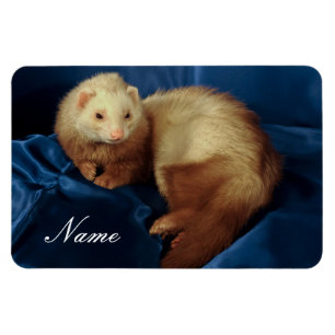 Personalized Pet Ferret Magnet