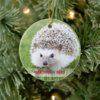 Personalized Pet Hedgehog Photo Christmas Tree