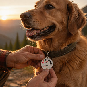 Personalized Pet ID Tag with Phone Number