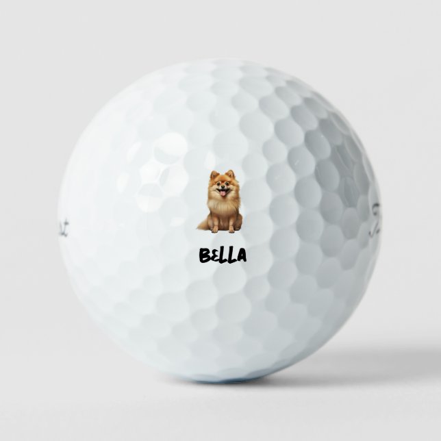 Personalized Pet Image Name Titleist Pro V1 II Golf Balls (Front)