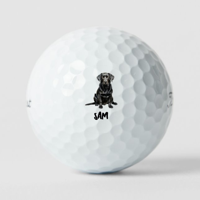 Personalized Pet Image Name Titleist Pro V1 II Golf Balls (Front)
