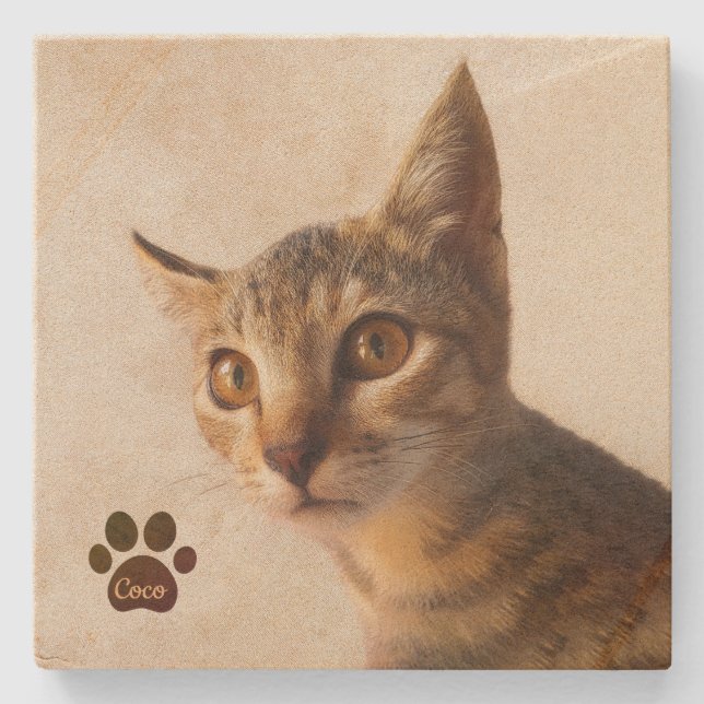 Personalized Pet Kitten Cat Dog Photo Template Stone Coaster (Front)