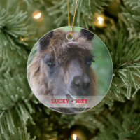 Personalized Pet Llama Photo & Name Christmas Tree