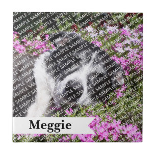 Personalized Pet Loss Keepsake (Add Frame or Box) Tile