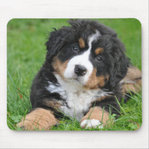 Personalized Pet Lover Dog Photo Mouse Pad