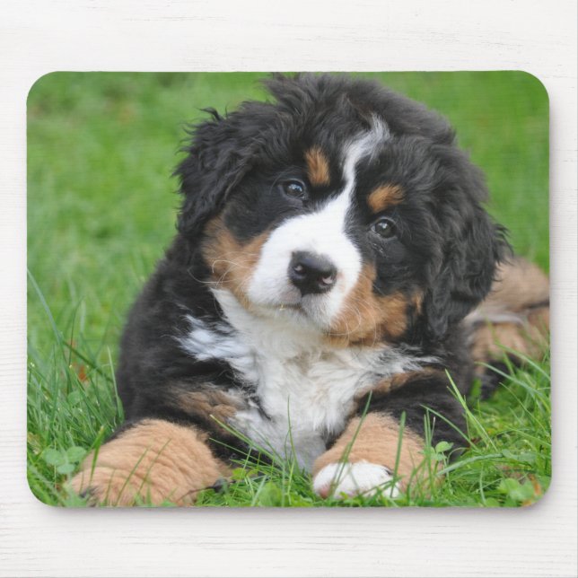Personalized Pet Lover Dog Photo Mouse Pad (Front)