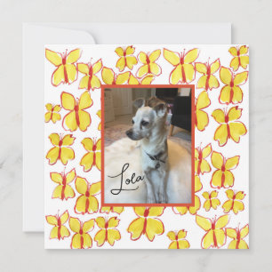 Personalized Pet Lovers Framed Photo Flat Card