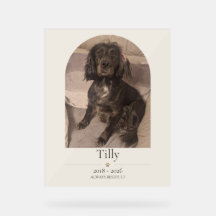 Personalized Pet Memorial Acrylic Sign | Dog & Cat