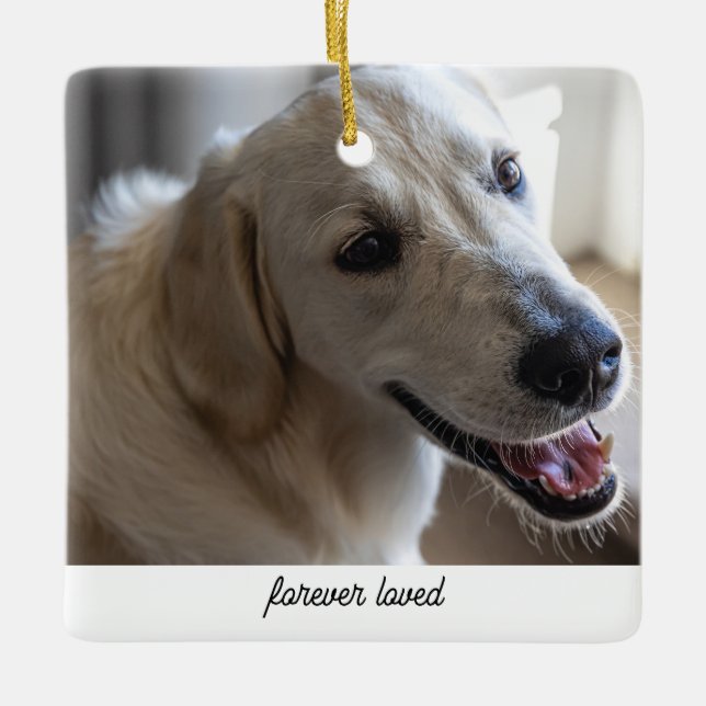 Personalized Pet Memorial Gift Dog Lover Forever Ceramic Ornament (Front)