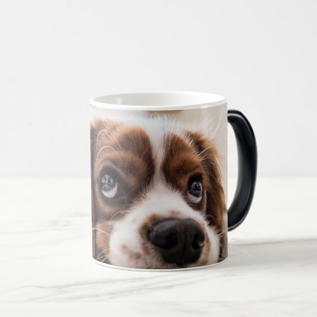 Personalized Pet Morphing Mug - Photo Reveal Mug (Front Right)