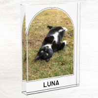 Personalized Pet Name Modern Arch