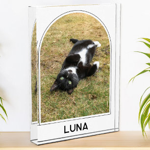 Personalized Pet Name Modern Arch Photo Block