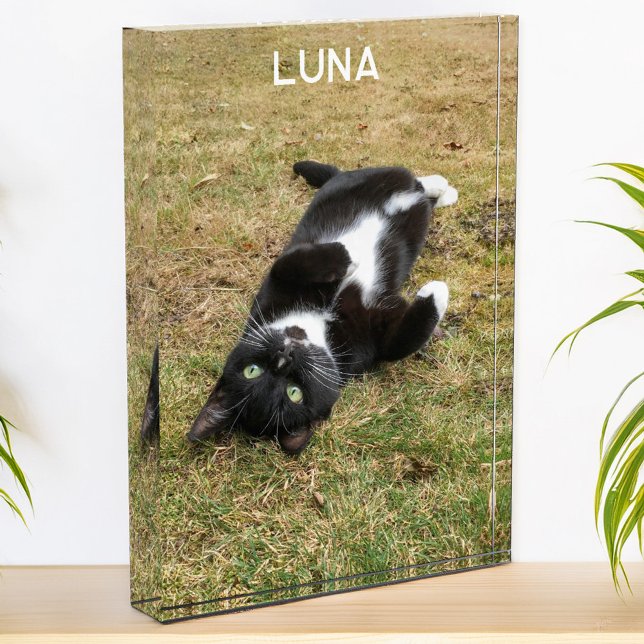 Personalized Pet Name Modern Photo Block (Modern photo personalized custom name photo block for family or pet pictures)
