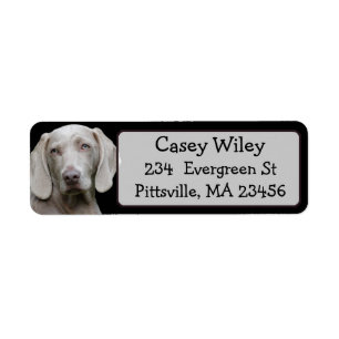 Personalized Pet or  Dog Address Label