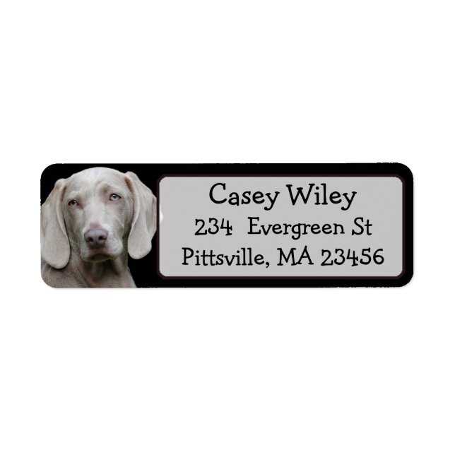 Personalized Pet or  Dog Address Label (Front)