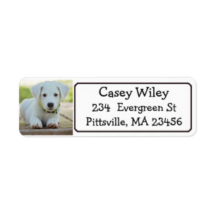 Personalized Pet or  Dog Address Label