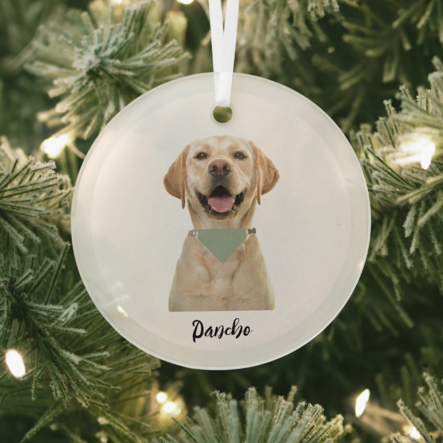PERSONALIZED PET ORNAMENT  (Insitu)