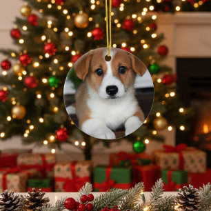 “Personalized Pet Ornament – Photo & Name”