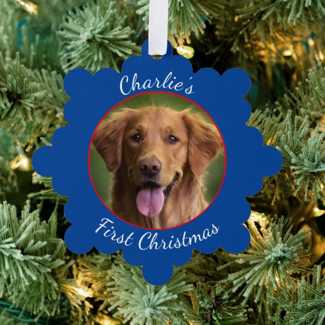 Personalized Pet Paper Snowflake Ornament (Insitu (Tree))