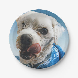 Personalized pet party paper plate, pet theme paper plate