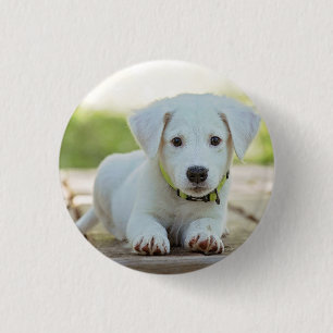 Personalized Pet Photo  1 Inch Round Button