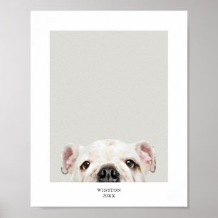 Personalized Pet Photo and Name Print