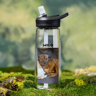 Personalized Pet Photo and Name Water Bottle