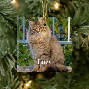 Personalized Pet Photo Cat Lover And Name Ceramic Ornament