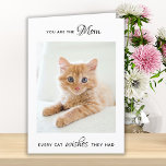 Personalized Pet Photo Cat Mom Mother's Day Holiday Card<br><div class="desc">Happy Mother's Day the the best cat mom ever ! Give mom a cute and funny personalized pet photo card from her best friend and favourite child, the cat! "You Are The Mom Every Cat Wishes They Had . . . Happy Mother's Day Mom, Love the Cat" Personalize the inside...</div>