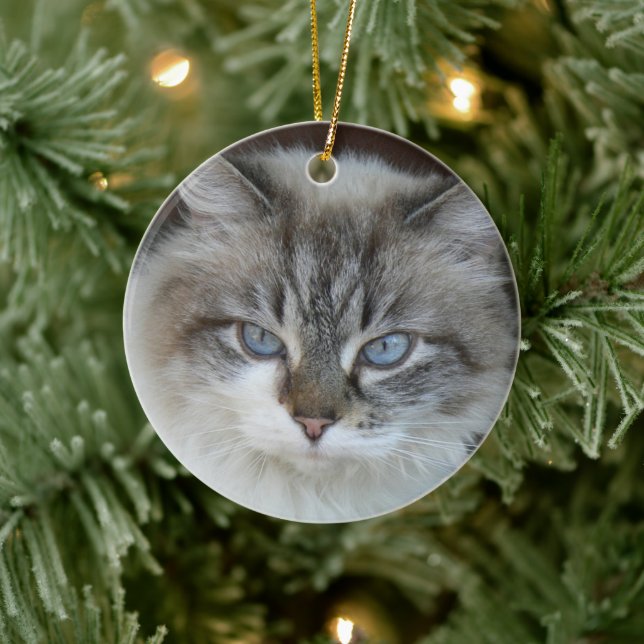 Personalized Pet Photo Cats and Catnip Silhouette Ceramic Ornament (Tree)